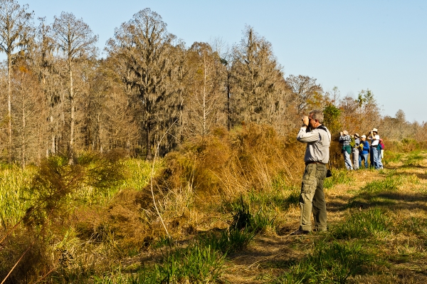 Birdwatchers on a trail looking through binoculars