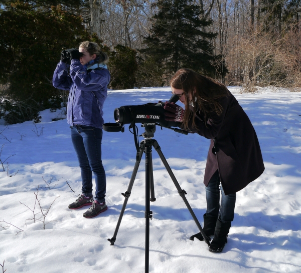 Two visitors watch wildlife through binoculars and scope