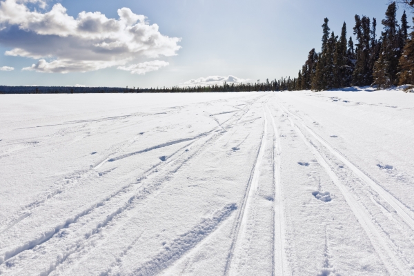 ski tracks across a snowy area, with trees in the background