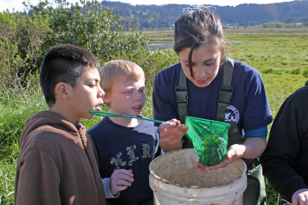 Environmental Educator showing two students some invertebrates in a dip net 