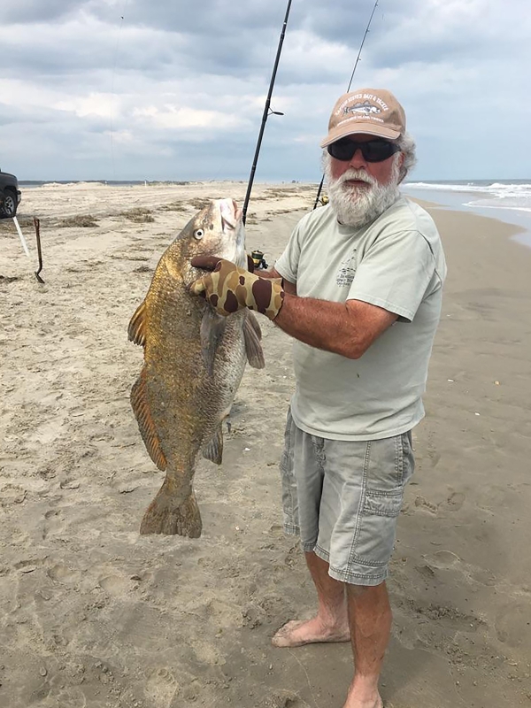 A fisherman stands on the beach holding up a black drum