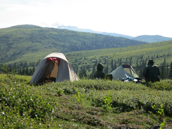 a campsite with two small tents and two people looking out over green hills