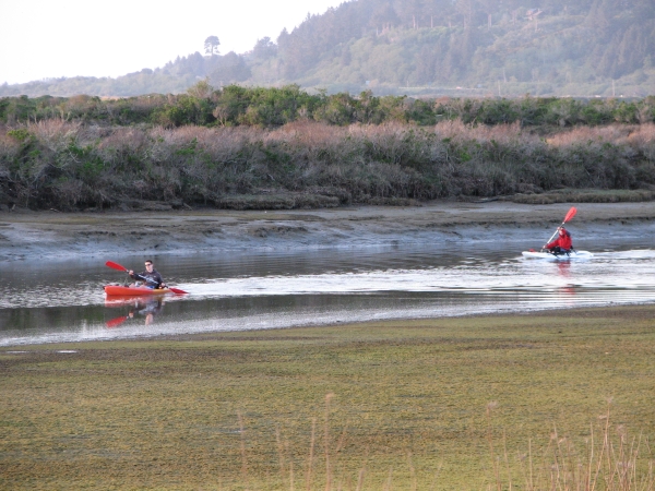 Two kayakers paddle in a tidal slough