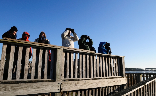 People stand on an overlook and peer through binoculars