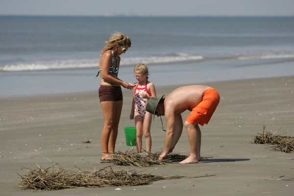 Woman, man and child on the beach looking for shells in beach wrack. The surf is close behind them. 