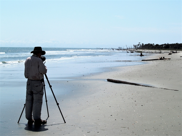 Birdwatcher stands on the beach using his spotting scope, sighting a large group of birds down the beach. 