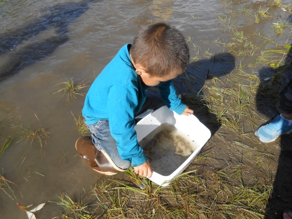 child at the edge of the water with a bucket