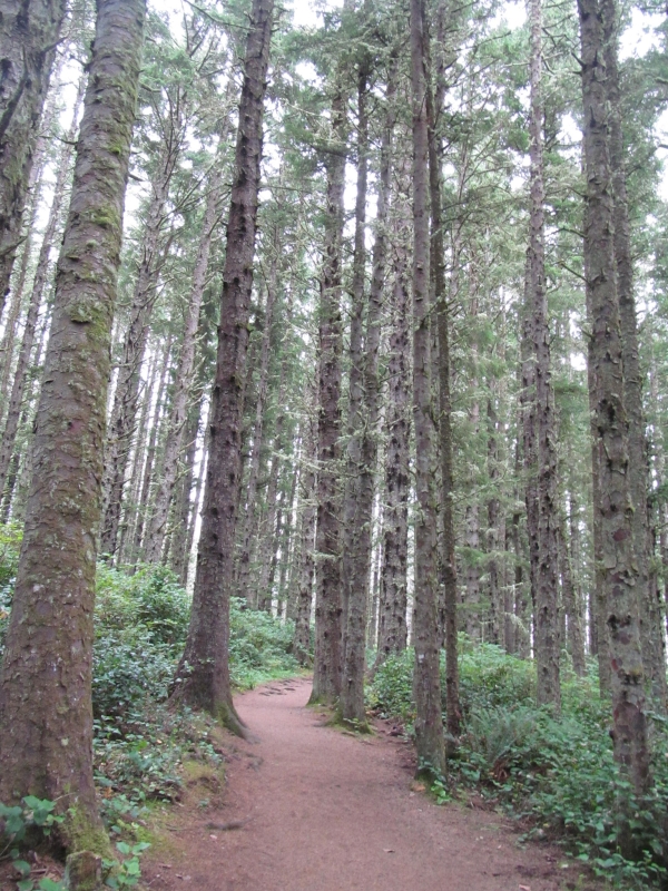 Nature Trail at Cape Meares