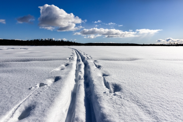 Ski tracks across a flat snowy landscape