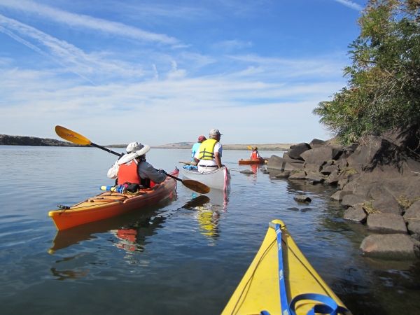 group of kayakers and canoers boating along edge of island