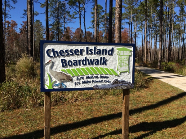 White sign with blue letters that reads Chesser Island Boardwalk with pine trees and shrubs behind it