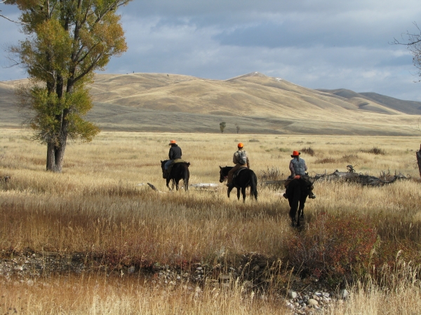 Three hunters on horseback