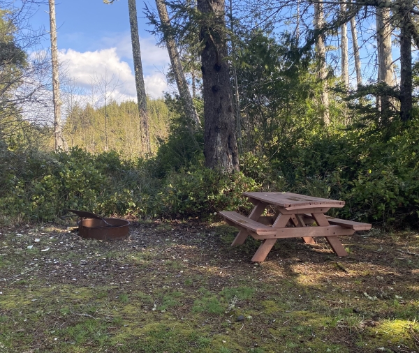 Campsite with picnic table and fire pit.