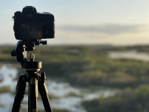 camera on a tripod with swamp behind it