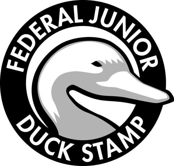 Federal Jr. Duck Stamp