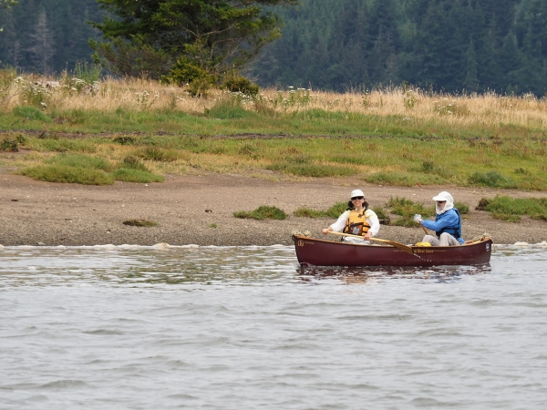Two people boating in a canoe with shoreline in background.