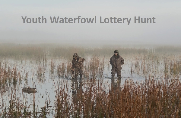 Youth waterfowl lottery hunt photo showing two hunters wading in the wetlands