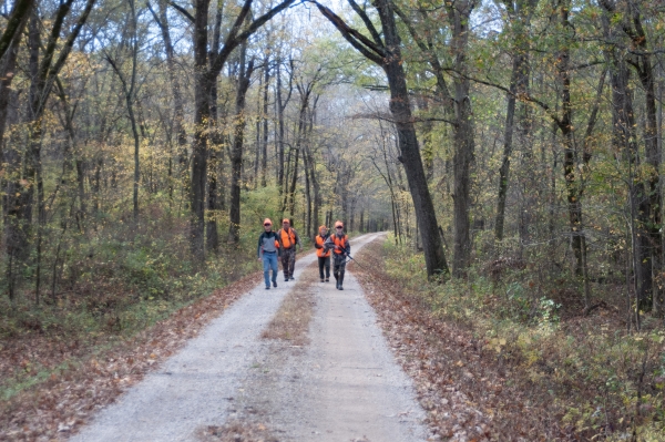 Four hunters wearing blaze orange walking down a gravel road.
