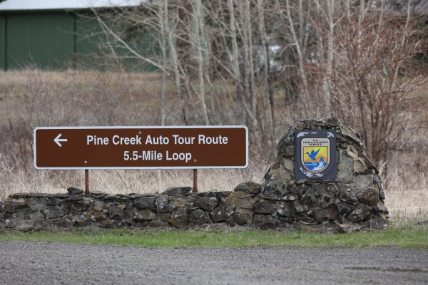 Photo of a brown sign that reads "Pine Creek Auto Tour Route, 5.5-Mile Loop"