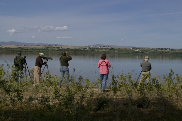Five people stand at the edge of a lake with binoculars or at a spotting scope on a tripod. Small plants are growing behind them. In the distance are trees along the lakeshore and houses and farms on the hills above.