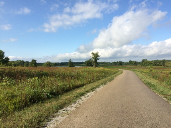 blacktop road winding through prairie and marsh habitats with blue skies
