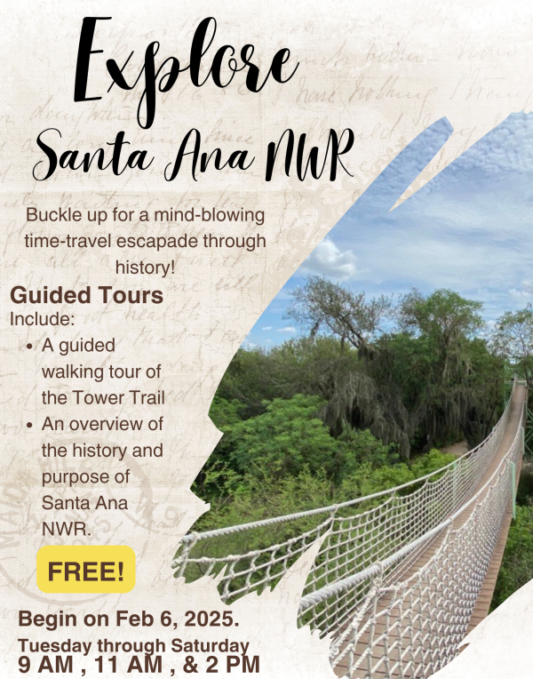 Free guided tours at the Santa Ana National Wildlife Refuge.