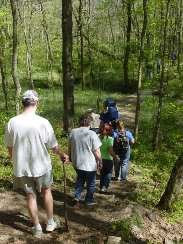 A group of people hiking single file in a wooded area with logs of new, green growth.