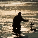A waterfowl hunter in a wetland at sunrise setting up duck decoys.