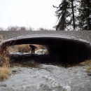 A person is walks through a large wide culvert that passes under a gravel road. A small river runs through the culvert.