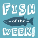 blue logo with a fish reading "Fish of the Week!"