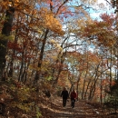 Two people hike a trail surrounded by fall colors