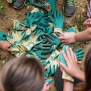 Numerous people reaching toward a pile of gardening gloves