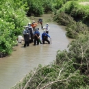 A group of people standing in a creek next with cut trees along the bank
