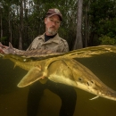 Biologist standing chest-deep in water holding a gulf sturgeon