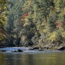 A river with boulders in the main channel and fall foliage along the banks