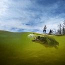 An underwater photo of a fish opening its mouth to grab a fishing lure. People stand with fishing poles on a boat above the surface of the water.
