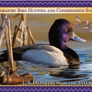 Federal Duck Stamp 2021-2022