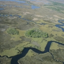 Aerial of Chassahowitzka National Wildlife Refuge 