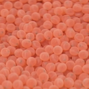 Orange salmon eggs with visible eyes
