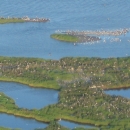 Aerial view of coastal barrier island with shrubby vegetation