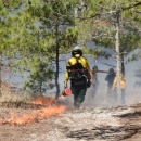 A firefighter walks with a drip torch