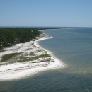 Aerial view of coastline with coastal vegetation dominating white, sandy beach.