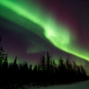 A vivid green streak of light across the sky marks the Northern Lights - the aurora borealis - over Koyukuk National Wildlife Refuge in Alaska.