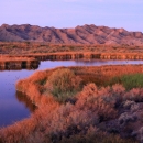 Scenic view of the lower Colorado River with mountains in the background.