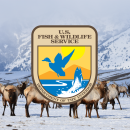 USFWS logo centered above a photo of elk in winter. Logo depicts a fish breaching and a duck flying over a pond near sunrise.