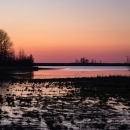 Sun rises over wetland with treeline silhouette in the distance.