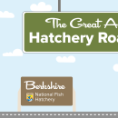 A graphic of a light blue sky with puffy clouds. A green highway sign hangs from the top and reads "The Great American Hatchery Road Trip." At the bottom, a fish drives a blue car along a road toward a brown sign with the USFWS logo and text that reads "Berkshire National Fish Hatchery."