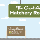 A graphic of a light blue sky with puffy clouds. A green highway sign hangs from the top and reads "The Great American Hatchery Road Trip." At the bottom, a fish drives a blue car along a road toward a brown sign with the USFWS logo and text that reads "Craig Brook National Fish Hatchery."