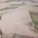 An aerial view of a landscape where trees have been removed through a big strip in the center of the frame. Trees can be seen on the left and right sides. 