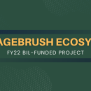 Sagebrush Ecosystem, FY22 BIL-funded project